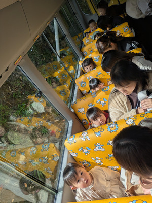 Pxl_20251104_013720040