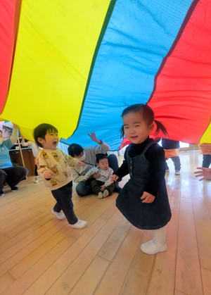 Pxl_20260206_0225446812 Pxl_20260206_0225446812