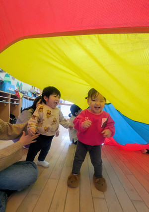 Pxl_20260206_0227117382 Pxl_20260206_0227117382