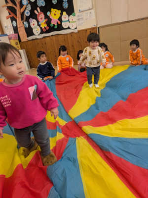 Pxl_20260206_023046215 Pxl_20260206_023046215