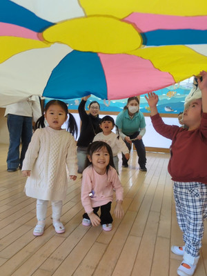 Pxl_20260216_022929211ls_exported_1 Pxl_20260216_022929211ls_exported_1