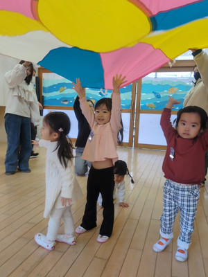 Pxl_20260216_022929211ls_exported_9 Pxl_20260216_022929211ls_exported_9