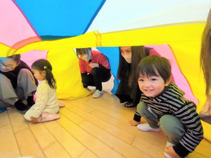 Pxl_20260216_023404855ls_exported_4 Pxl_20260216_023404855ls_exported_4