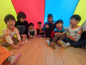 Pxl_20260217_021449797 Pxl_20260217_021449797