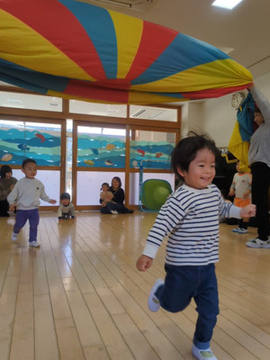 Pxl_20260217_022256761ls_exported_4 Pxl_20260217_022256761ls_exported_4