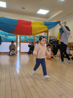 Pxl_20260217_022329056ls_exported_5 Pxl_20260217_022329056ls_exported_5