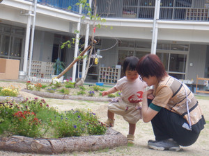 Dscf8865 Dscf8865