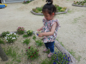 Dscf8868 Dscf8868