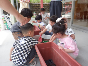 Dscf1737_2