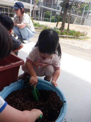 Dscf1742_2