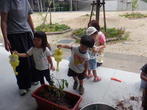 Dscf1754_2