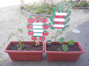 Dscf9069_2