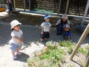 Dscf9194
