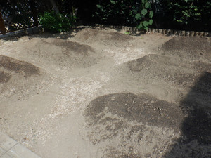 Dscf0371