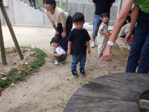 Dscf0156 Dscf0156