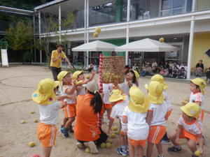Dscf0764 Dscf0764