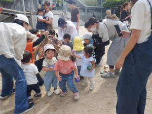 Dscf0786 Dscf0786