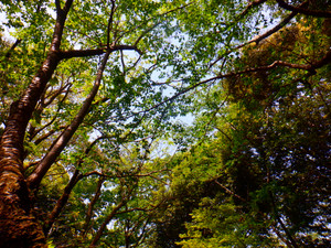 Dscf0640