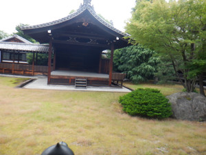 Dscf1551