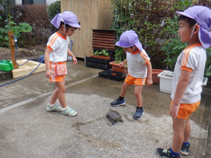 Dscf2141 Dscf2141