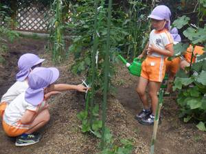 Dscf2149 Dscf2149