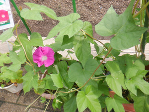 Dscf2388