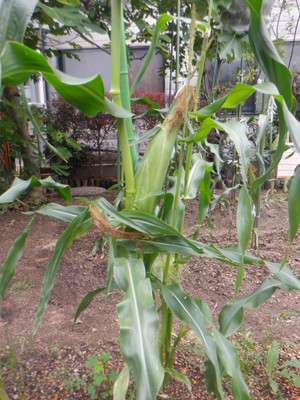 Dscf2389