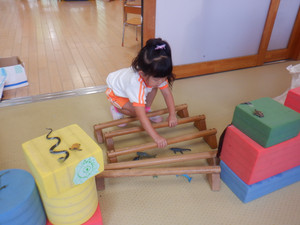 Dscf2965