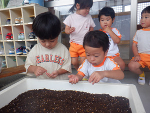 Dscf3713_2
