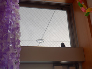 Dscf8821
