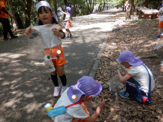 Dscf1380 Dscf1380