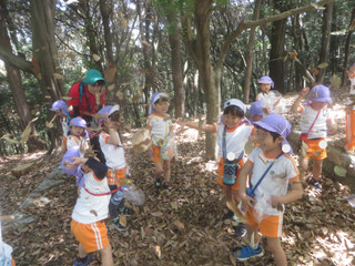 Img_5608 Img_5608