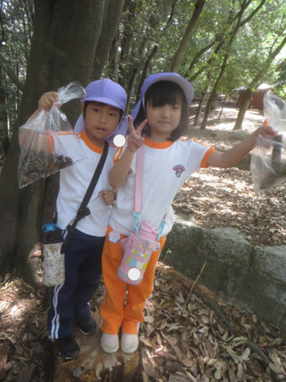 Img_5622 Img_5622