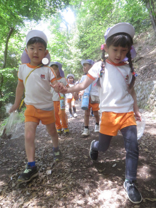 Img_5748 Img_5748