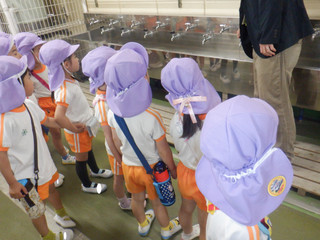 Dscf1672 Dscf1672