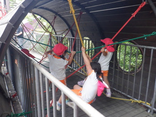 Dscf2408