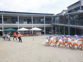 Dscf2211