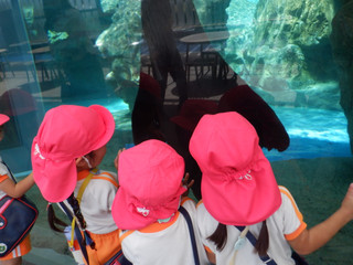 Dscf3051