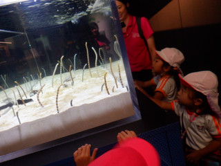 Dscf3609