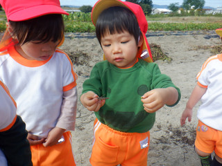 Dscf3797 Dscf3797