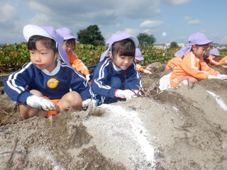 Dscf5315