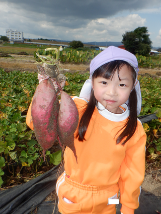 Dscf5350
