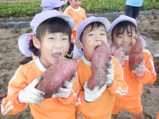 Dscf5356