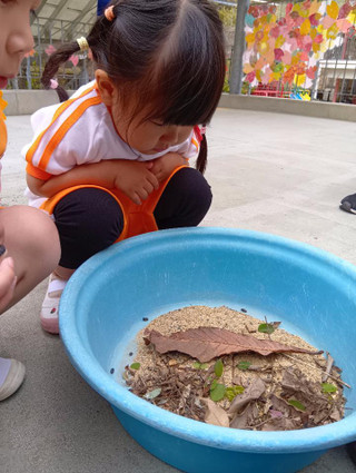 C0b881a0a80c43cfa5a4db4d53f8c2fd