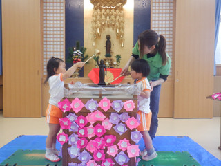 Dscf8501