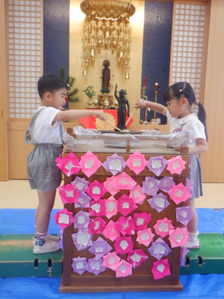 Dscf8519