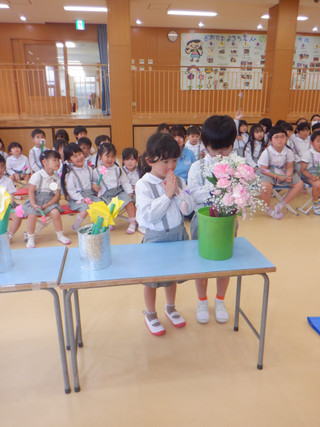 Dscf8553