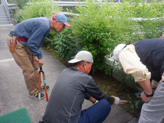 Dscf8785