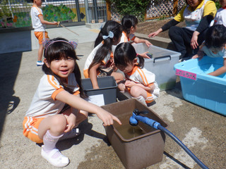 Dscf8600