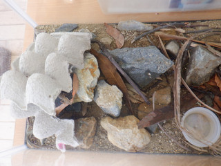 Dscf8827